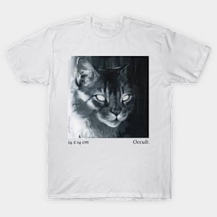 hidden cat T-Shirt